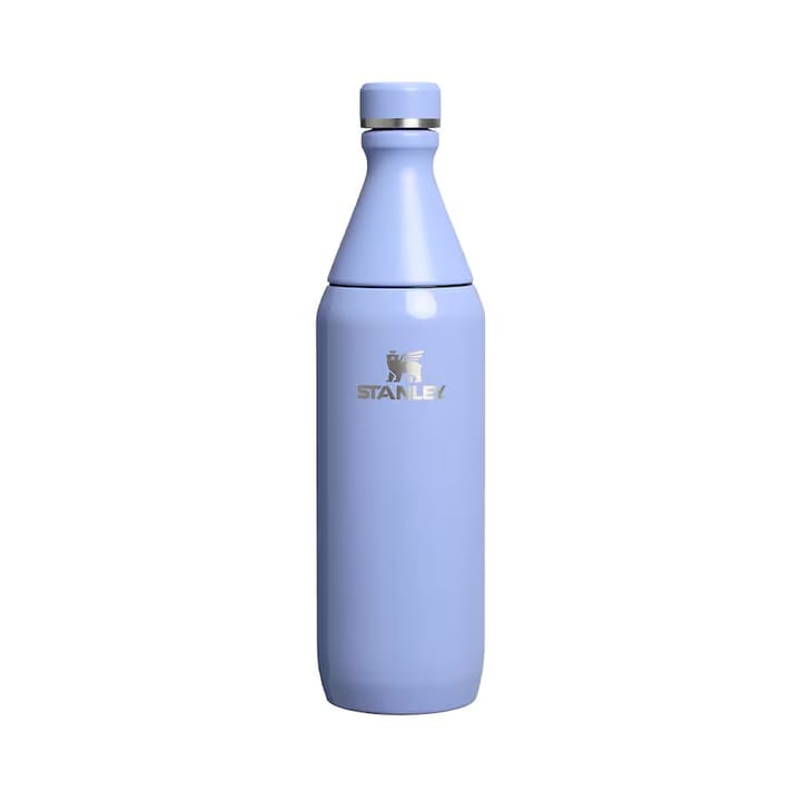 Stanley All Day Slim termo butelis 600 ml, hydrangea gloss