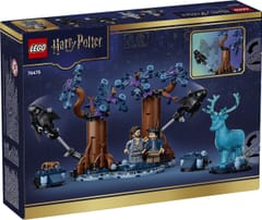 LEGO HARRY POTTER 76475 Uždraustas miškas - Expecto Patronum 2