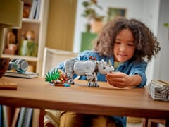 LEGO CREATOR 3 IŠ 1 31171 Laukiniai gyvūnai: Didžiuojasi raganosis su paukščiais 8