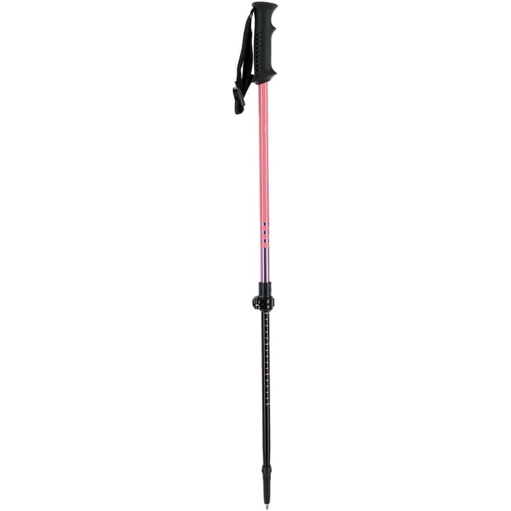 Vaikų trekingo lazdos „VIKING Kitsune Jr Trekking“ 55–90 cm, rožinės spalvos