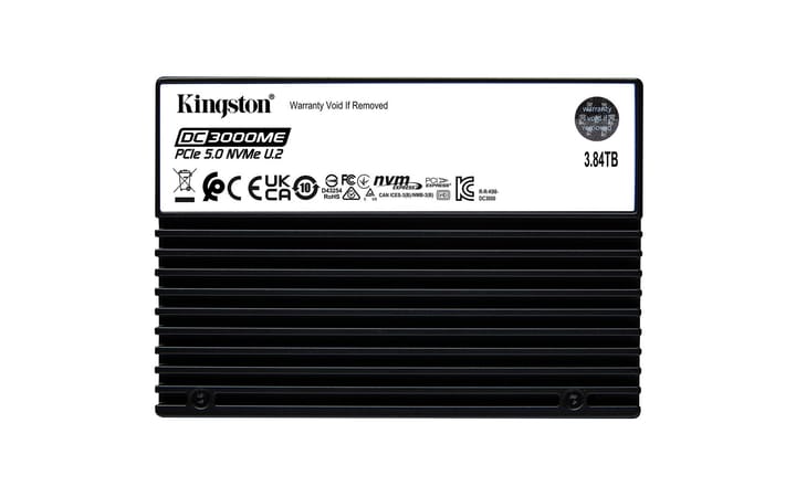 Kingston Technology DC3000ME 3,84 TB U.2 PCI Express 5.0 NVMe 3D eTLC