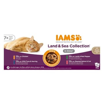 IAMS DELIGHTS Senior Land & Sea Collection in Gravy box – šlapias pašaras katei – 48x85g