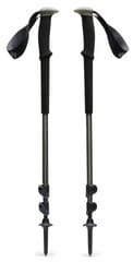 Treko lazdos Black Diamond Trail Back creek blue 1