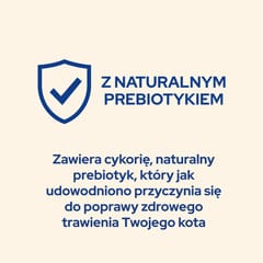 Purina Cat Chow Special Care Urinary Tract Health- sausas kačių maistas 15 kg Adult Viščiukas 2