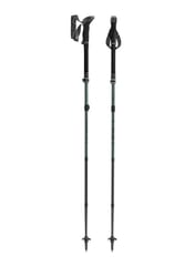 Žygių lazdos LEKI TR MAKALU FX, 110–130 cm, žalios 1