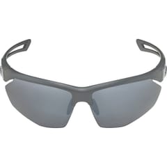 Alpina Nylos HR Akiniai nuo saulės katė. 3 Grey 1