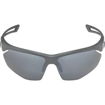 Alpina Nylos HR Akiniai nuo saulės katė. 3 Grey