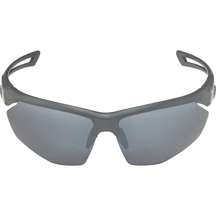 Alpina Nylos HR Akiniai nuo saulės katė. 3 Grey