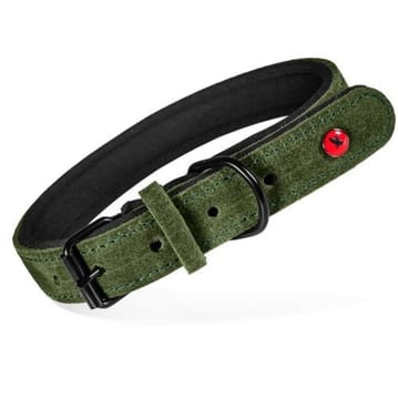 ZOLUX Komfort Odinė, žalia spalva – antkaklis šuniui – 40 cm