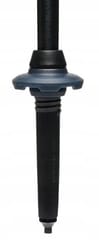 Treko lazdos Black Diamond Trail Back creek blue 2