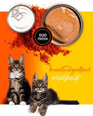 3COTY Chicken with krill For kittens - šlapias kačių maistas - 80g 6