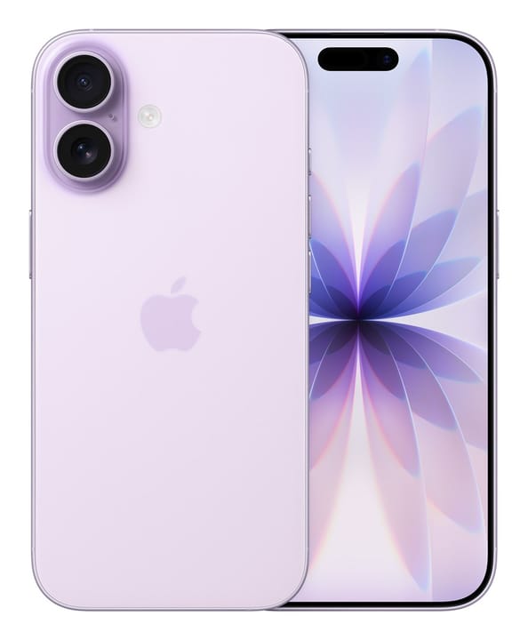 Apple iPhone 17 16 cm (6.3") Dviguba SIM jungtis iOS 26 5G C tipo USB 256 GB Lavanda