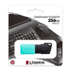 Kingston Exodia 256GB USB 3.2.Teal 3