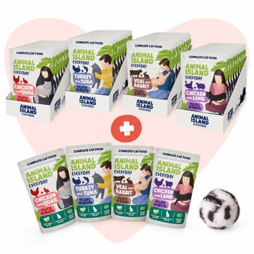 ANIMAL ISLAND Love Box Fillets in Broth Box + Toy - šlapias kačių maistas - 48x85g