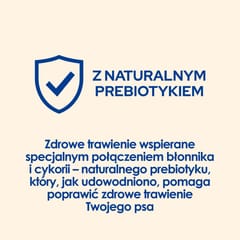 Purina DOG CHOW Large Breed Adult 14 kg Suaugusių Kalakutiena 2