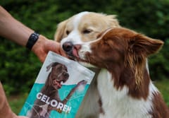 GELOREN Large dog Joints - šunų vitaminai - 420g 4