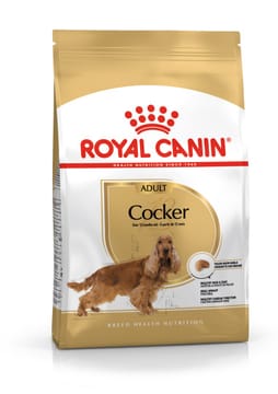 ROYAL CANIN Adult Cocker - sausas maistas šunims - 12 kg