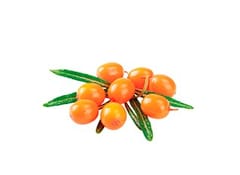 SHELMA Rich in turkey in sauce - šlapias kačių maistas - 85g 3