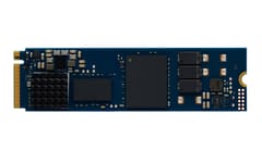Kingston Technology DC2000B 960 GB M.2 PCI Express 4.0 NVMe 3D TLC 3