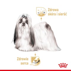 ROYAL CANIN Shih Tzu Adult Šlapias maistas šunims Paštetas 12x85 g 3