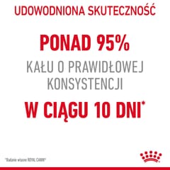 Royal Canin Digestive Care sausas kačių maistas 10 kg Suaugusių Žuvis, Paukštiena, Ryžiai, Daržovių 2