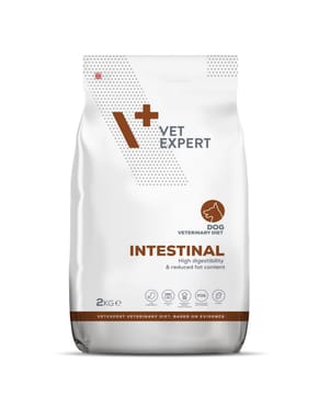VETEXPERT Veterinary Diet Intestinal Dog - sausas šunų maistas - 2 kg