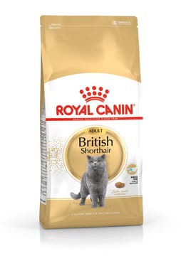 Royal Canin British Shorthair Adult sausas kačių maistas 4 kg Suaugusių