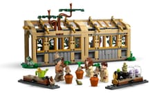 LEGO HARRY POTTER 76445 Hogvartso pilis - Herbologijos klasė 5