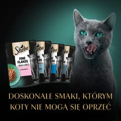 SHEBA Delicacy Žuvies skonio želė - drėgnas kačių maistas - 80x 85g 5