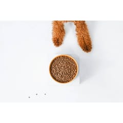 NATURE'S PROTECTION Superior Care Red Coat Adult Small breed Grain free Salmon - sausas maistas šunims - 10kg 2