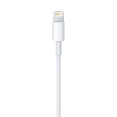 Apple Lightning / USB 0,5 m Balta 2