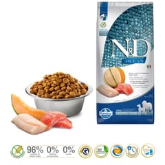 FARMINA N&D Ocean Dog Salmon, Cod, Cantaloupe, Melon Adult Medium&Maxi - sausas maistas šunims - 12 kg 2