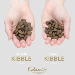EDEN 80/20 Fish Cuisine Medium & Large - sausas maistas šunims - 12kg 2