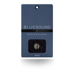 Bluesound Professional B160S - tinklinis transliacijos stereofoninis stiprintuvas 3