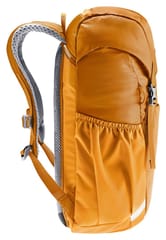 Deuter Junior - vaikų kelioninis kuprinė (Maple/Amber) 6