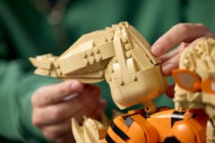 LEGO POKÉMON 72160 Arcanine 3