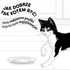 PURINA Felix Fantastic in jelly Box - šlapias kačių maistas - 44x85g 4