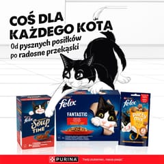 PURINA Felix Fantastic in jelly Box - šlapias kačių maistas - 44x85g 2