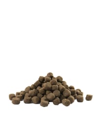 Versele-Laga Adult Digestion Medium & Maxi 12,5 kg Suaugusiųjų 3