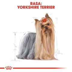 Royal Canin Yorkshire Terrier Suaugusių 85 g 8