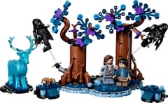 LEGO HARRY POTTER 76475 Uždraustas miškas - Expecto Patronum 3