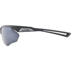 Alpina Nylos HR Akiniai nuo saulės katė. 3 Grey 2