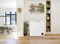 Gorenje FH20E6W5 198 l talpos šaldiklis-kassetė, balta 7