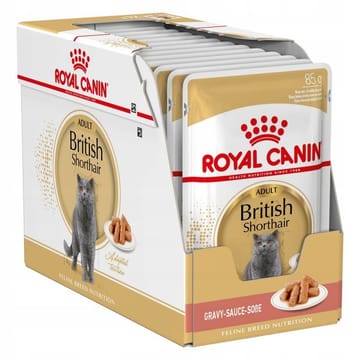 ROYAL CANIN British Shorthair - šlapias kačių maistas - 12 x 85g