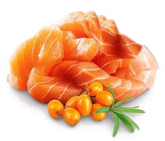 SHELMA Kitten with salmon in sauce - šlapias kačių maistas - 85g 2