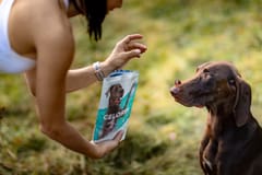 GELOREN Large dog Joints - šunų vitaminai - 420g 5