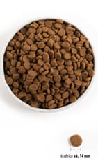 ORIJEN Puppy - sausas maistas šunims - 11,4kg 2