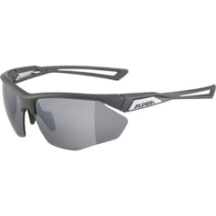 Alpina Nylos HR Akiniai nuo saulės katė. 3 Grey 4