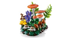 LEGO BOTANICALS 11505 Miško grybai 4