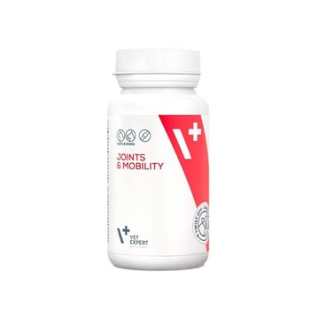 VETEXPERT Joints & Mobility - sąnarių palaikymo preparatas šunims ir katėms - 30 kapsulių.